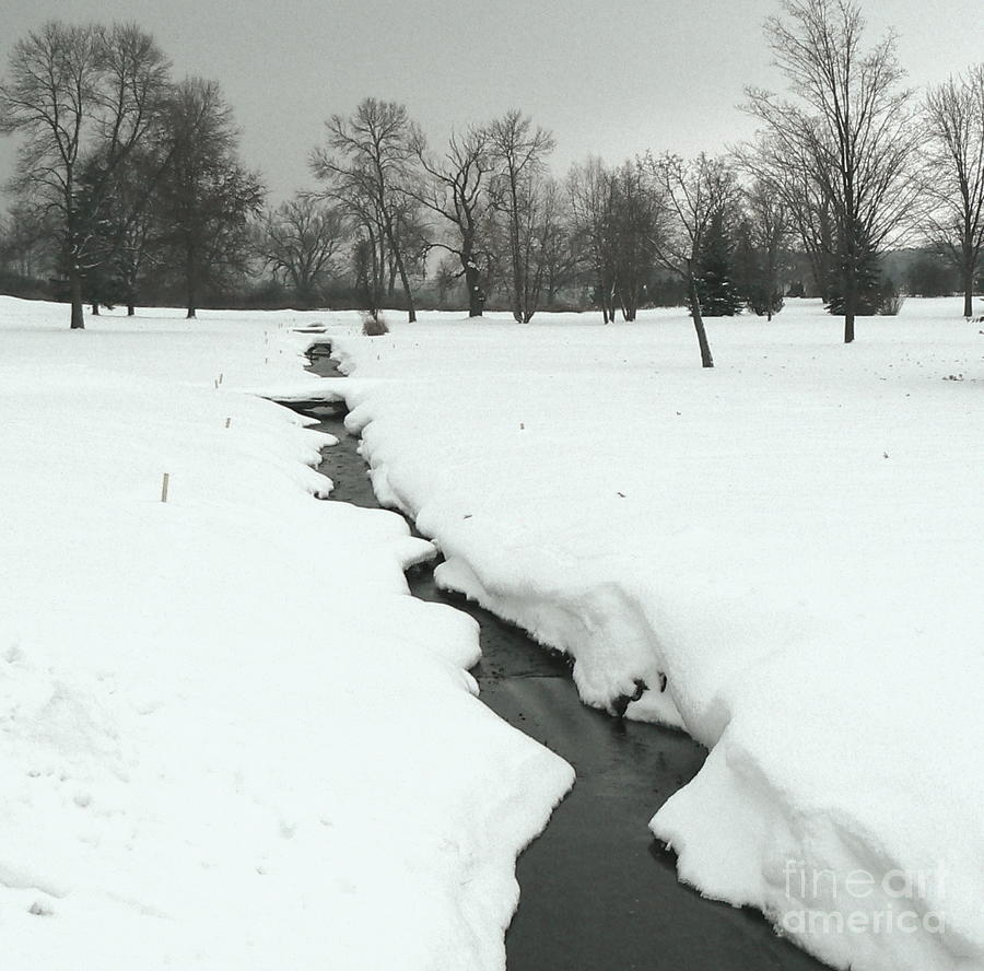 Tree Photograph - Snow Creek in Skaneateles NY by Diana Besser