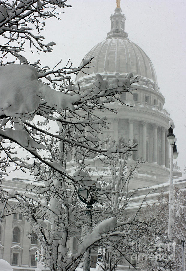 Snow Day in Madison Photograph by Darci T | Fine Art America