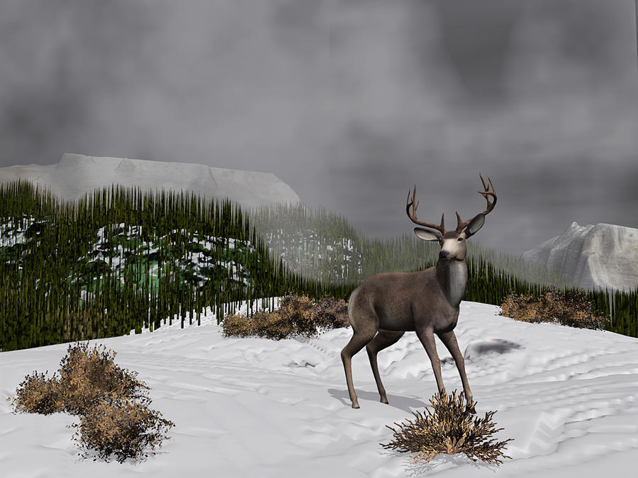 Snow Deer Digital Art by Walter Colvin