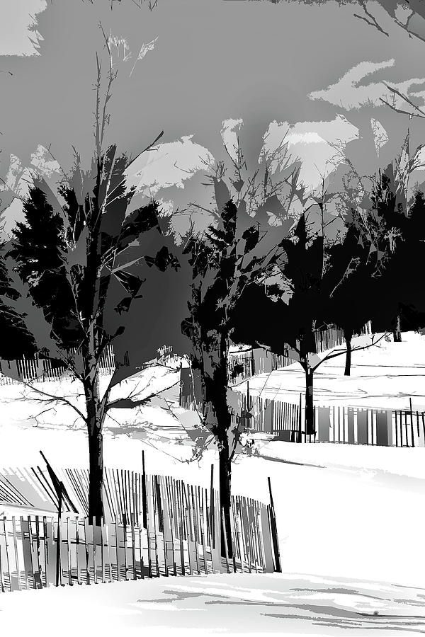 Snow Fence 2 Photograph by Burney Lieberman