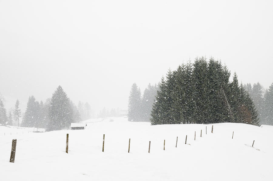 Snow is falling in winter landscape Photograph by Matthias Hauser