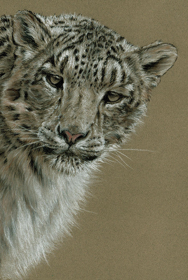 Snow Leopard Painting By Geoffrey Dawson Fine Art America