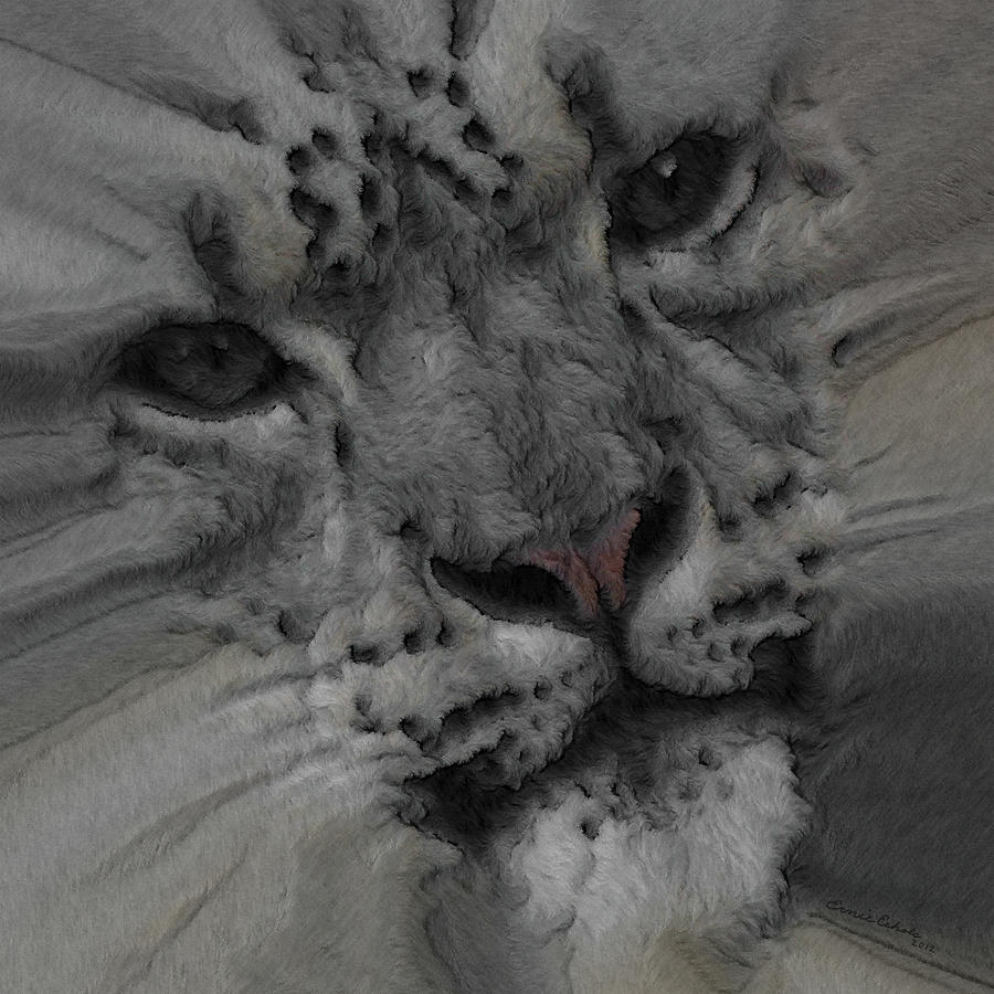 Snow Leopard Painterly Photograph by Ernest Echols