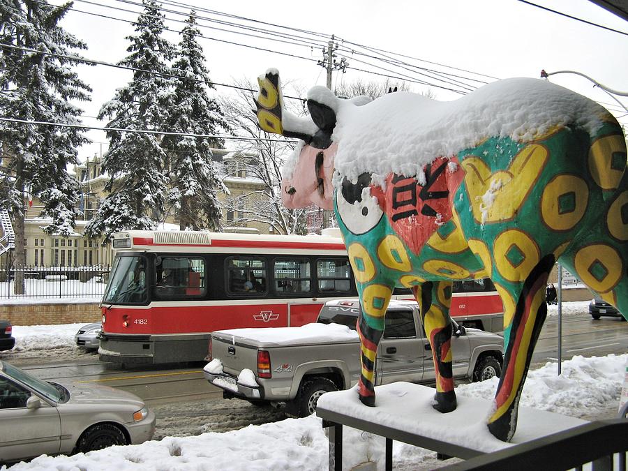 Snow Moose With Streetcar Photograph by Alfred Ng