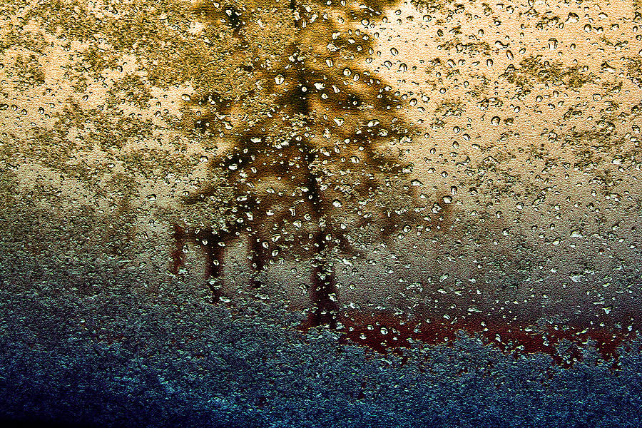 Snow On My Window Photograph by Ellen Heaverlo