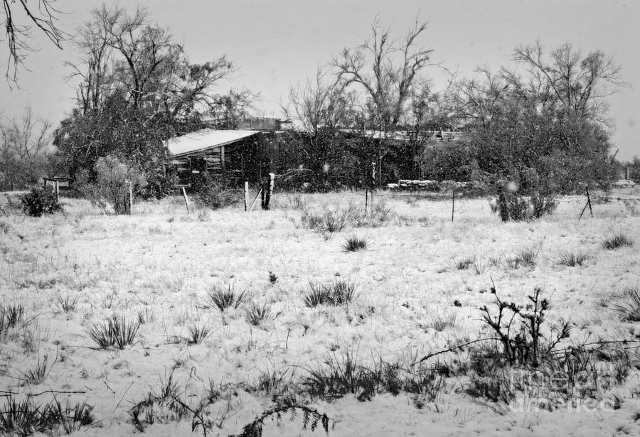 Snow on the Ranch Photograph by Fred Lassmann