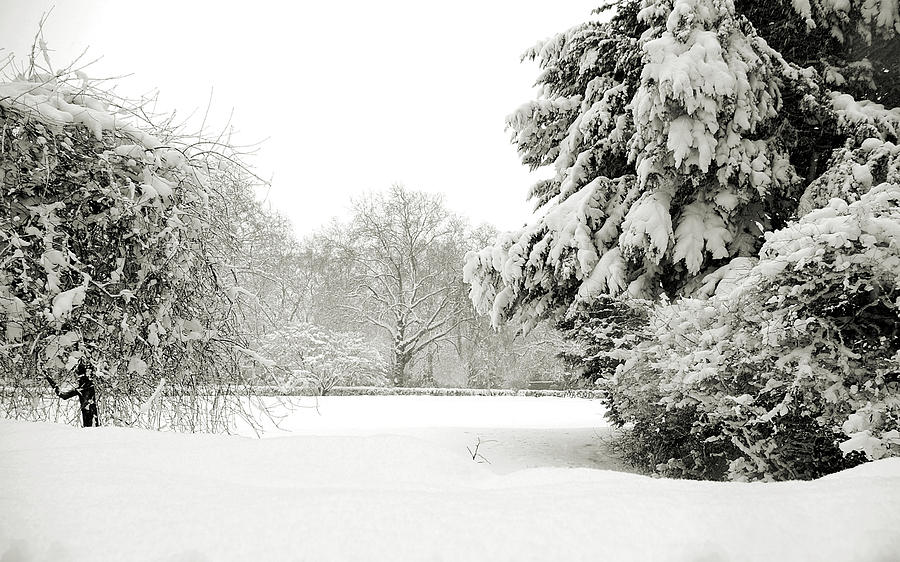 Snow packed Park Photograph by Lenny Carter