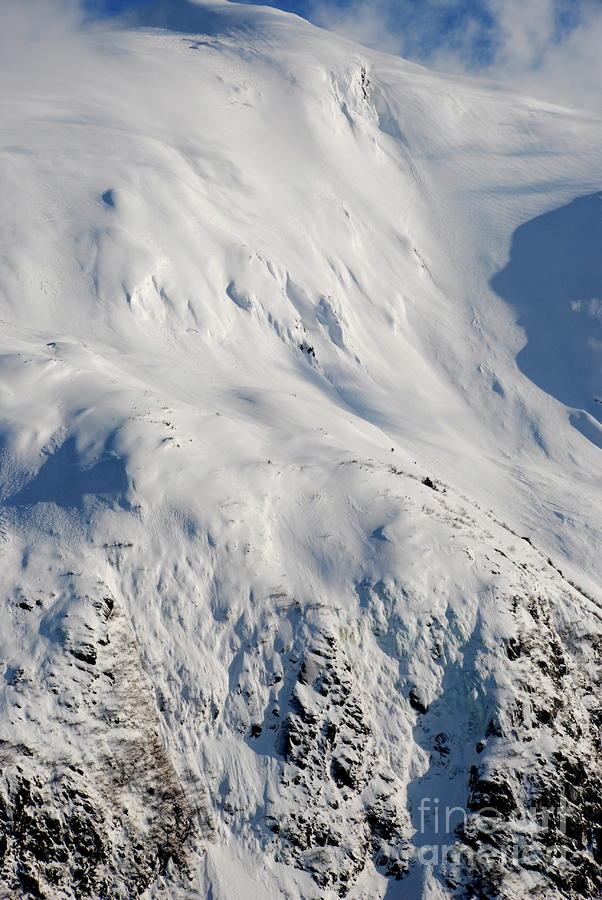 Nature Photograph - Snow-scape by BP Morris