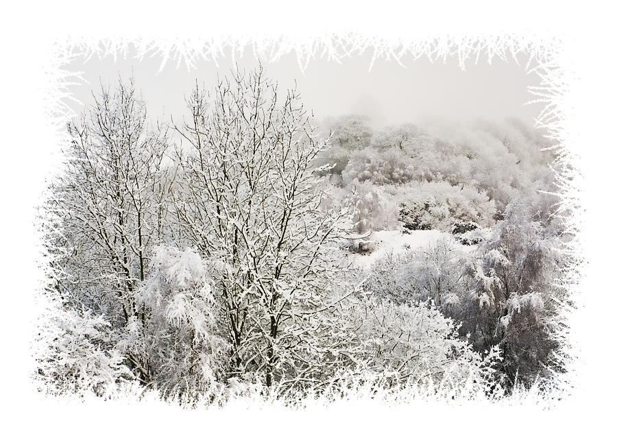 Snow Scene 1 Photograph by Steve Purnell