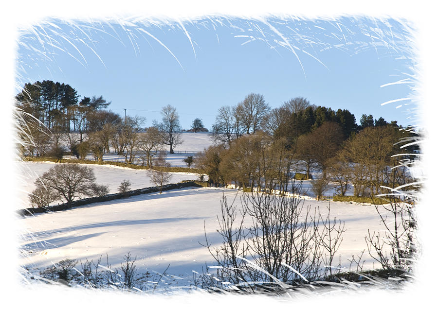 Tree Photograph - Snow Scene 3 by Steve Purnell