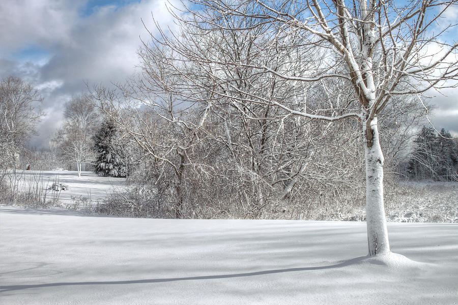 Snow Scene Photograph by Richard Gregurich