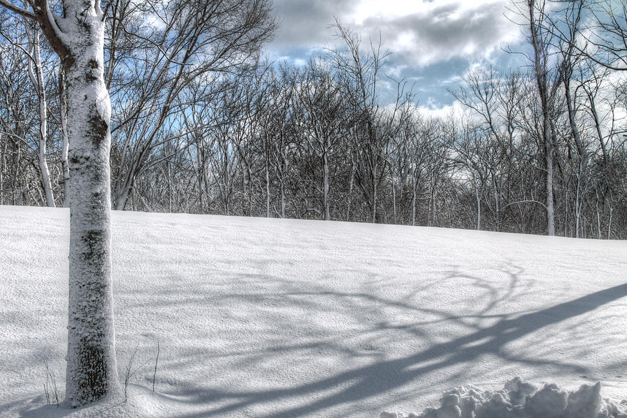 Snow Shadows Photograph by Richard Gregurich