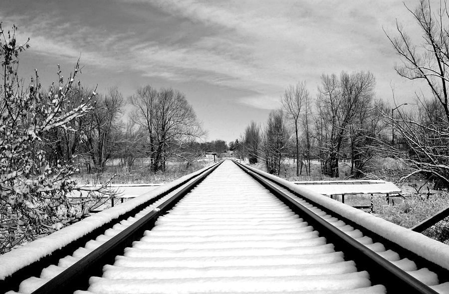 Snow Tracks Photograph by James Steele