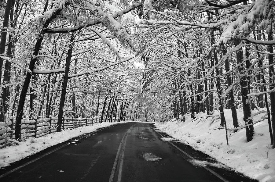 Snow Tunnel 3746 Photograph by Guy Whiteley - Fine Art America