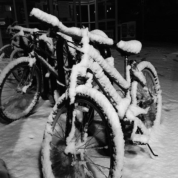 Snowcycles All Around The City Photograph by Khamid B