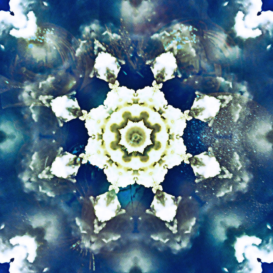 Snowflake - Abstract Photograph by Ellen Heaverlo