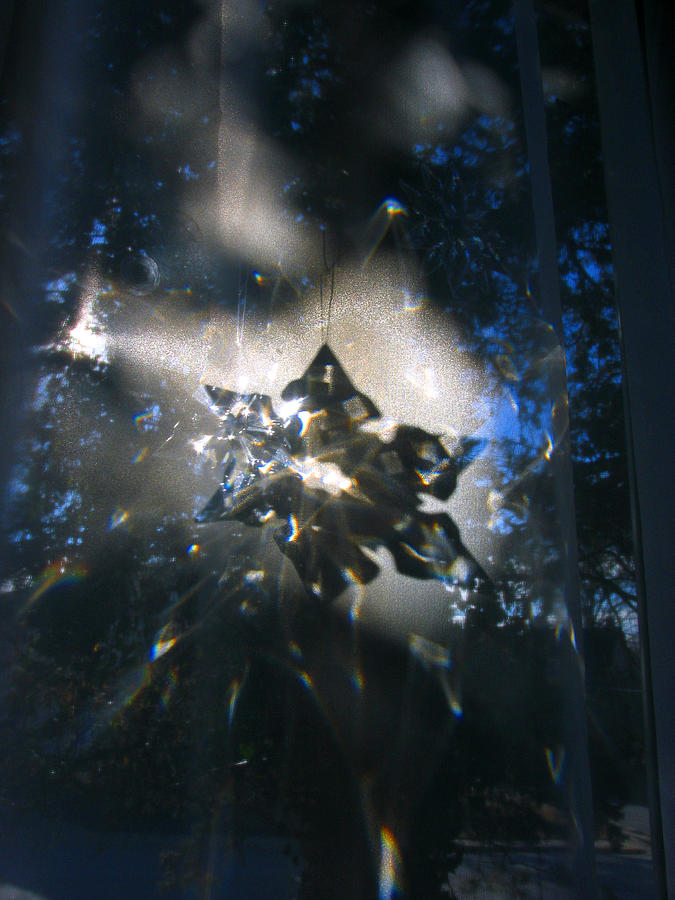 Snowflake Crystal Shadow Photograph by Adam Long
