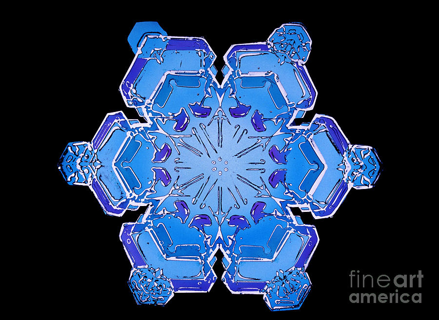 Snowflake From A Resin Cast Photograph by Science Source