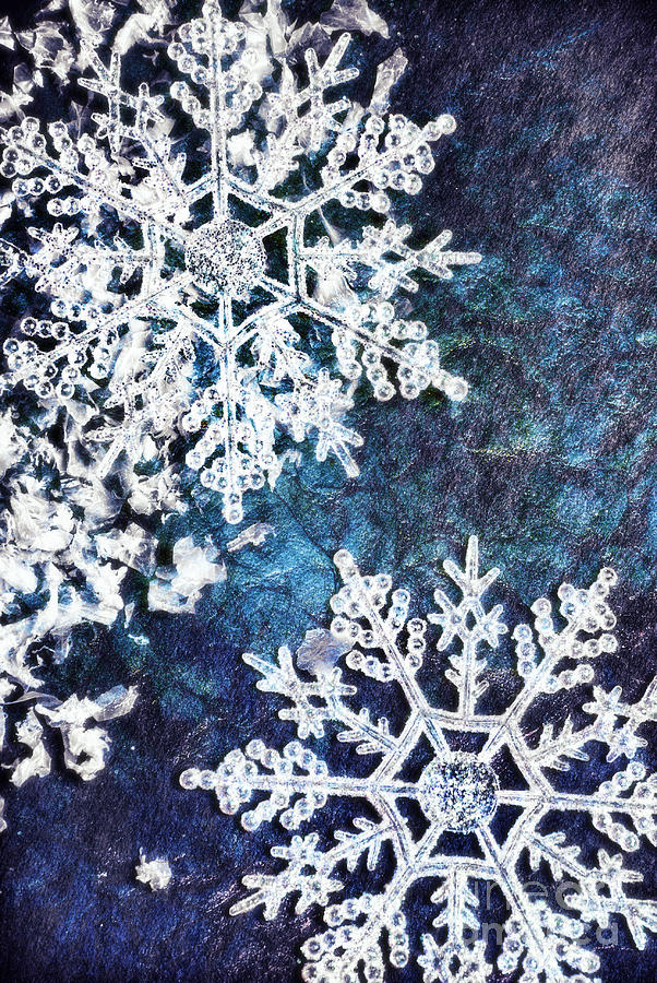 Snowflakes Photograph by HD Connelly
