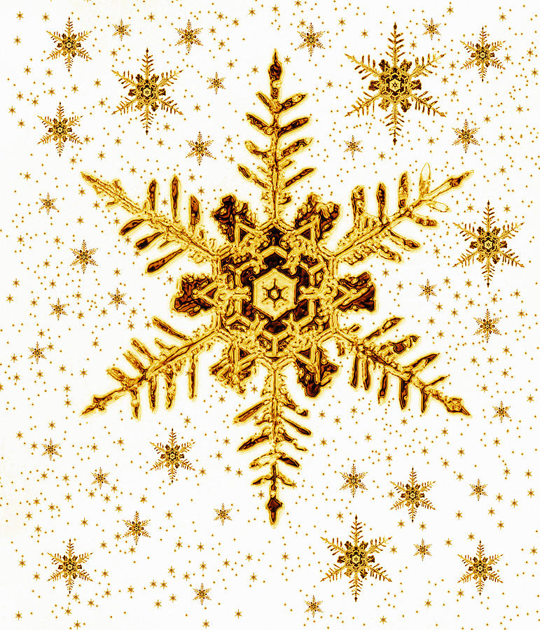 Christmas Photograph - Snowflakes by Mehau Kulyk