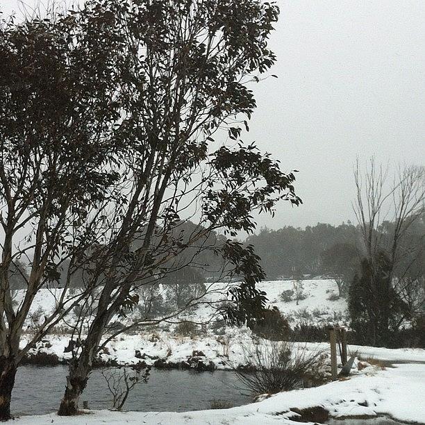 Snowing In Thredbo #latergram - We Were Photograph by Cee Lew