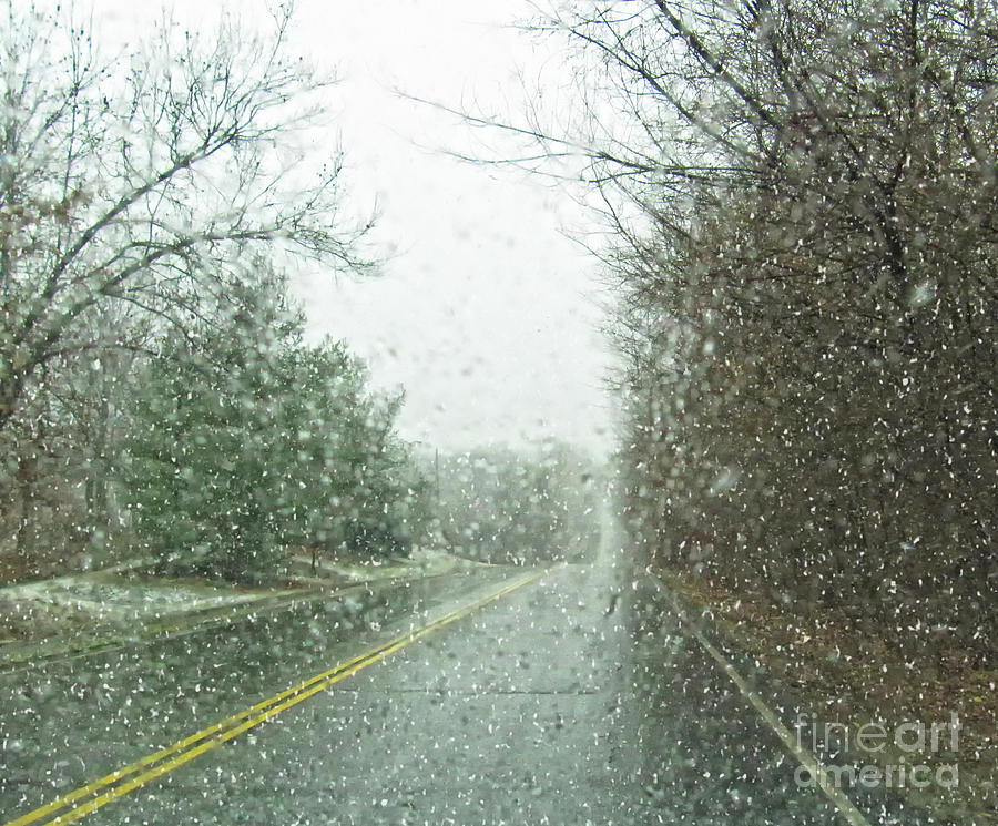 Snowing Morning Photograph by Carolyn Fox - Fine Art America