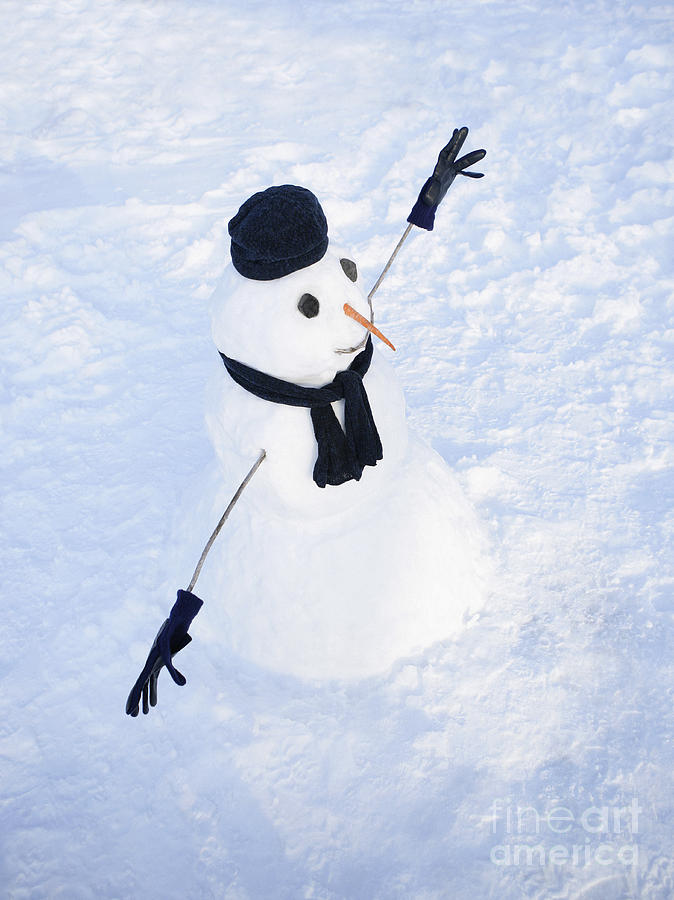 Snowman Wearing Hat And Scarf Photograph By Steven Puetzer