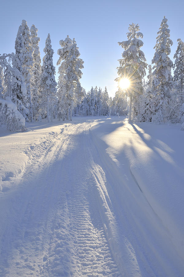 Snowmobile Trail, Kuusamo, Northern Ostrobothnia, Finland Photograph By 