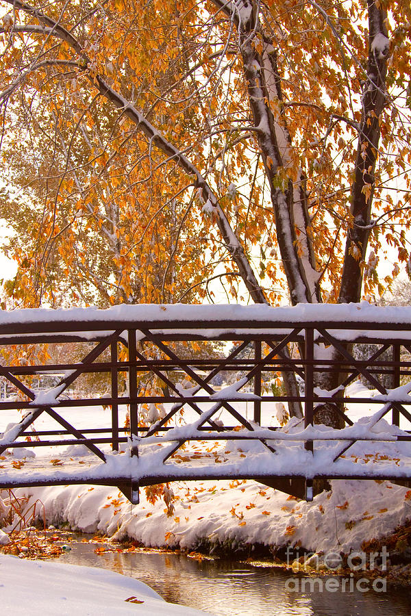 Snowy Autumn Walking Bridge Photograph by James BO Insogna