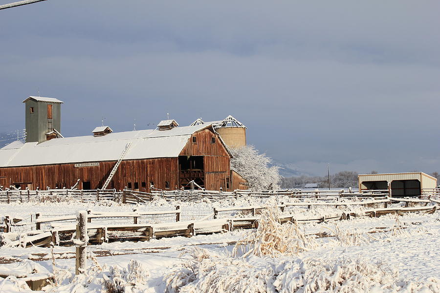Snowy Barn Photograph by Trent Mallett