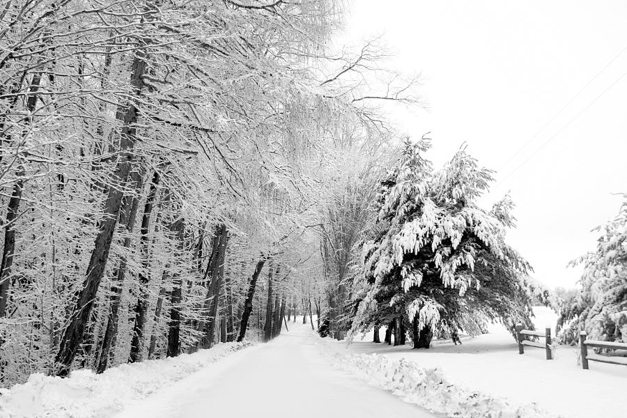 Snowy Country Road Photograph by Cindy Haggerty