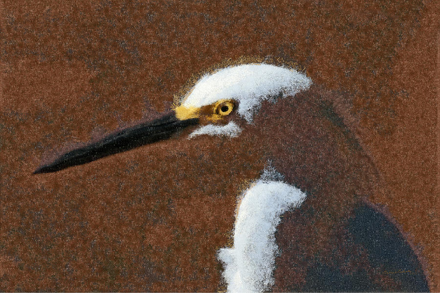 Snowy Egret Profile Painterly Digital Art by Ernest Echols