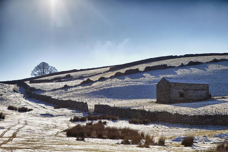 Tree Photograph - Snowy Field Yorkshire Dales, England by John Short