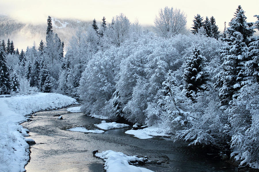 Snowy fitzsimmons river whistler Photograph by Pierre Leclerc ...