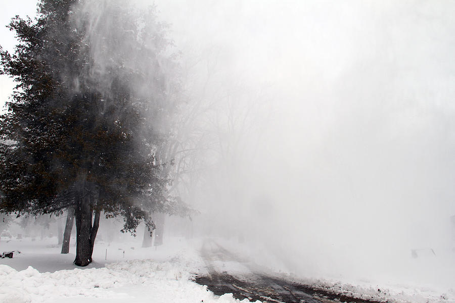 Snowy Gust Photograph by Mark J Seefeldt
