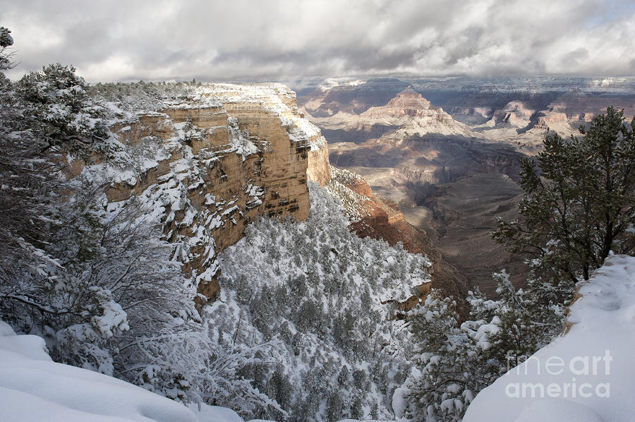 Snowy Morning at the Grand Canyon Photograph by Sandra Bronstein
