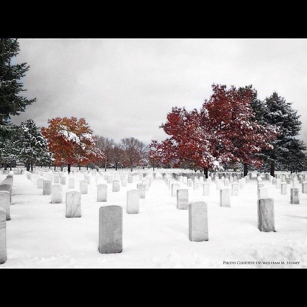 Denver Photograph - Snowy National Cemetery by Wolf Stumpf