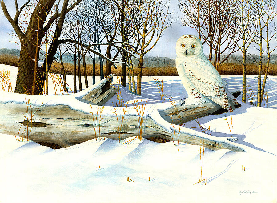 Mouse Painting - Snowy Owl and Mouse by Bill Gehring Mouse Painting - Snowy Owl and Mouse by Bill Gehring