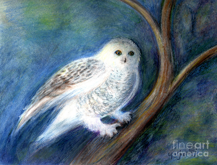 Snowy Owl at Night Painting by Maureen Farley