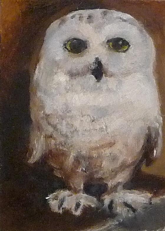 Snowy Owl Painting by Jessmyne Stephenson