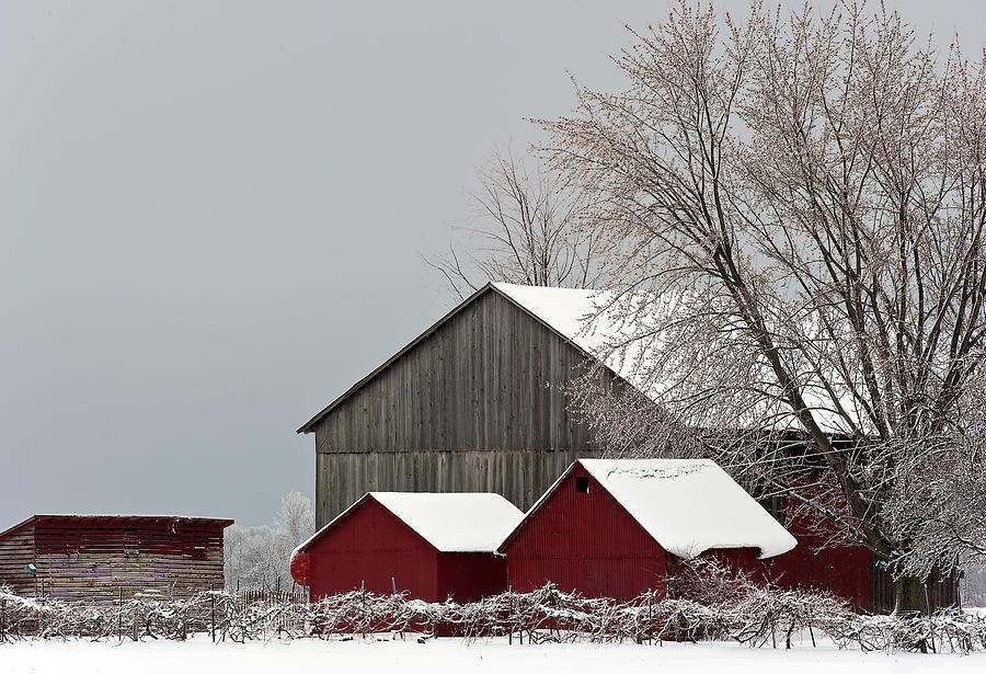 Snowy Red Barns Photograph By Andy Richards Fine Art America