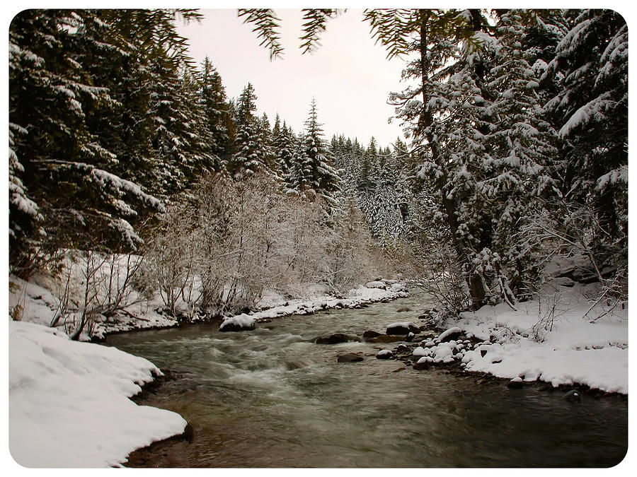 Snowy River Photograph by Steve McKinzie