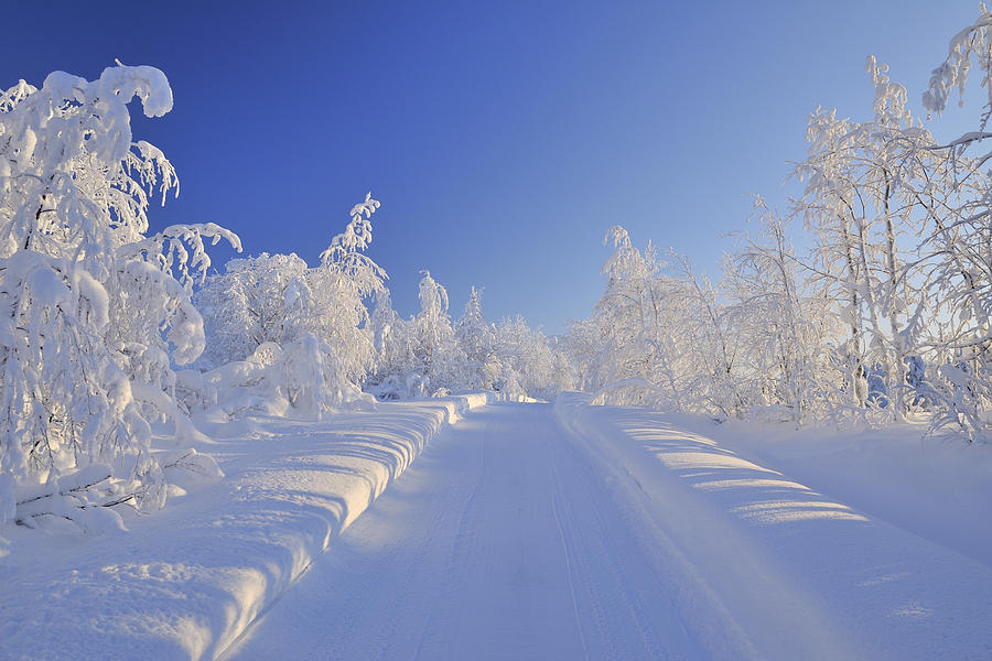 Snowy Road, Liikasenvaara, Northern Ostrobothnia, Finland Photograph by ...