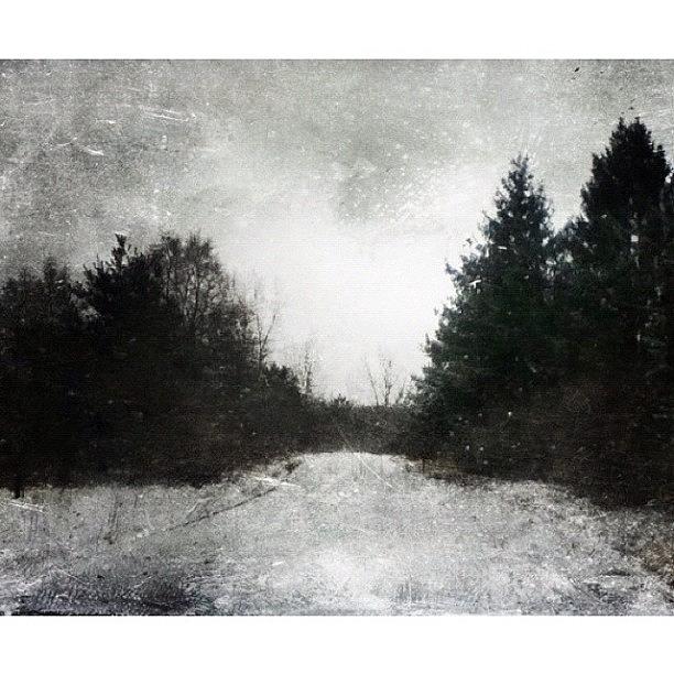 Winter Photograph - Snowy #road by Lisa Worrell