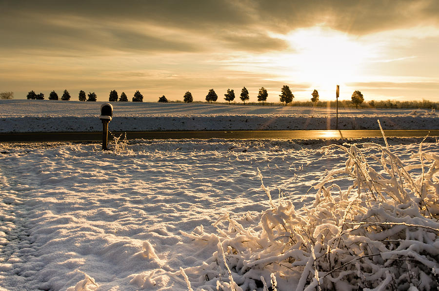 Snowy Sunrise Photograph by Lori Coleman