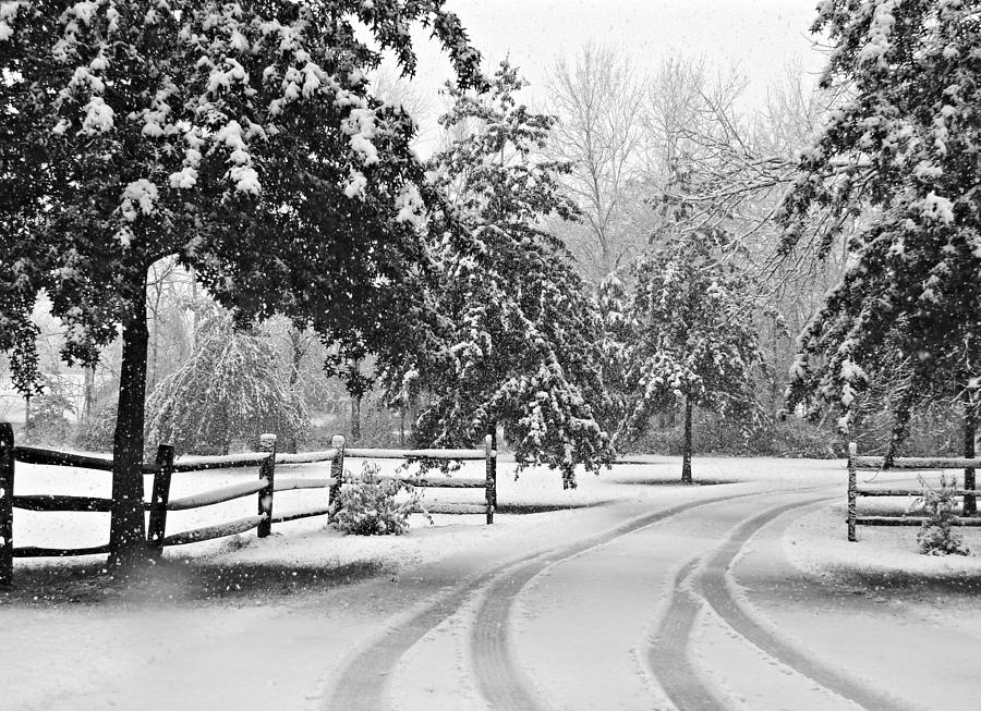 Snowy Tracks Photograph by Dark Whimsy