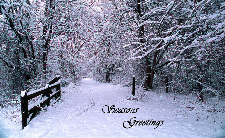 Snowy Trail Seasons Greetings Photograph by Skip Willits
