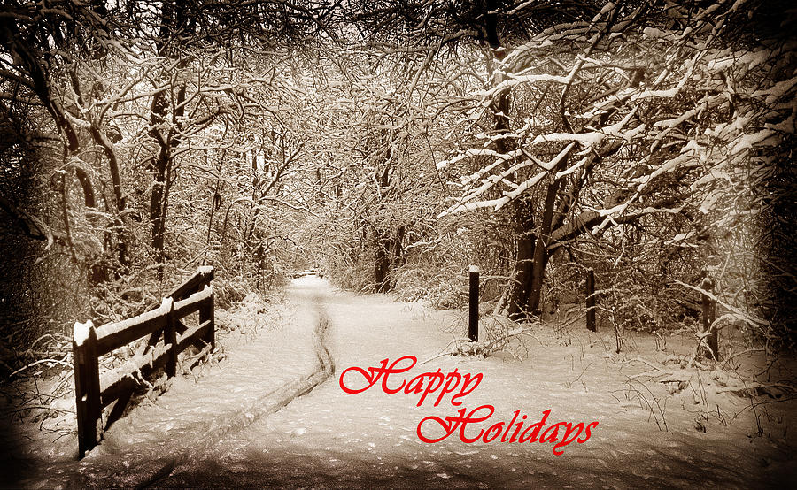 Christmas Photograph - Snowy Trail Sepia Holidays by Skip Willits