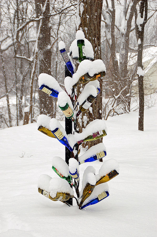 Snowy wine Bottle Sculpture Photograph by Aimee L Maher ALM GALLERY