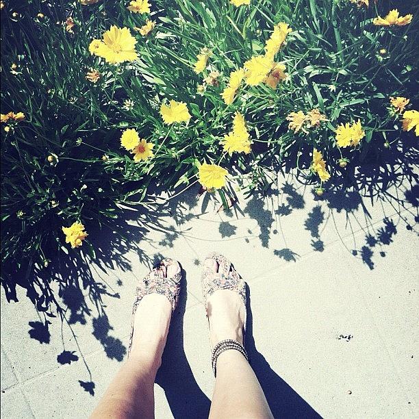 Flower Photograph - So Close Yet So Far. #fromwhereistand by Allison Faulkner